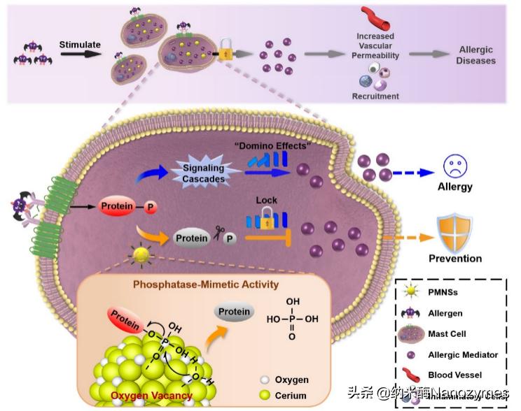 李方园课题组纳米酶研究新进展
