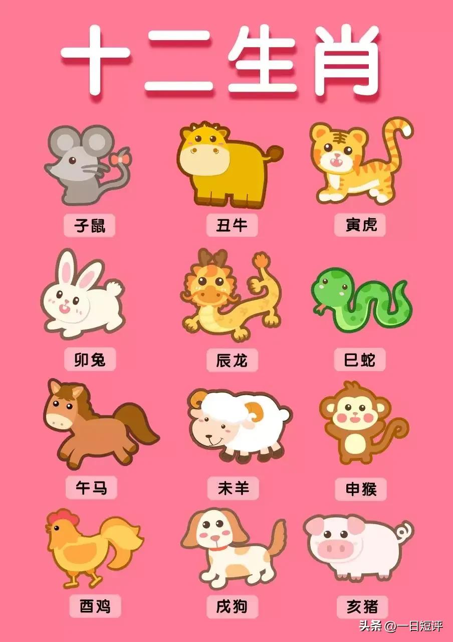 2023兔年和以前有什么不一样,2023年之后还有哪一年是兔年