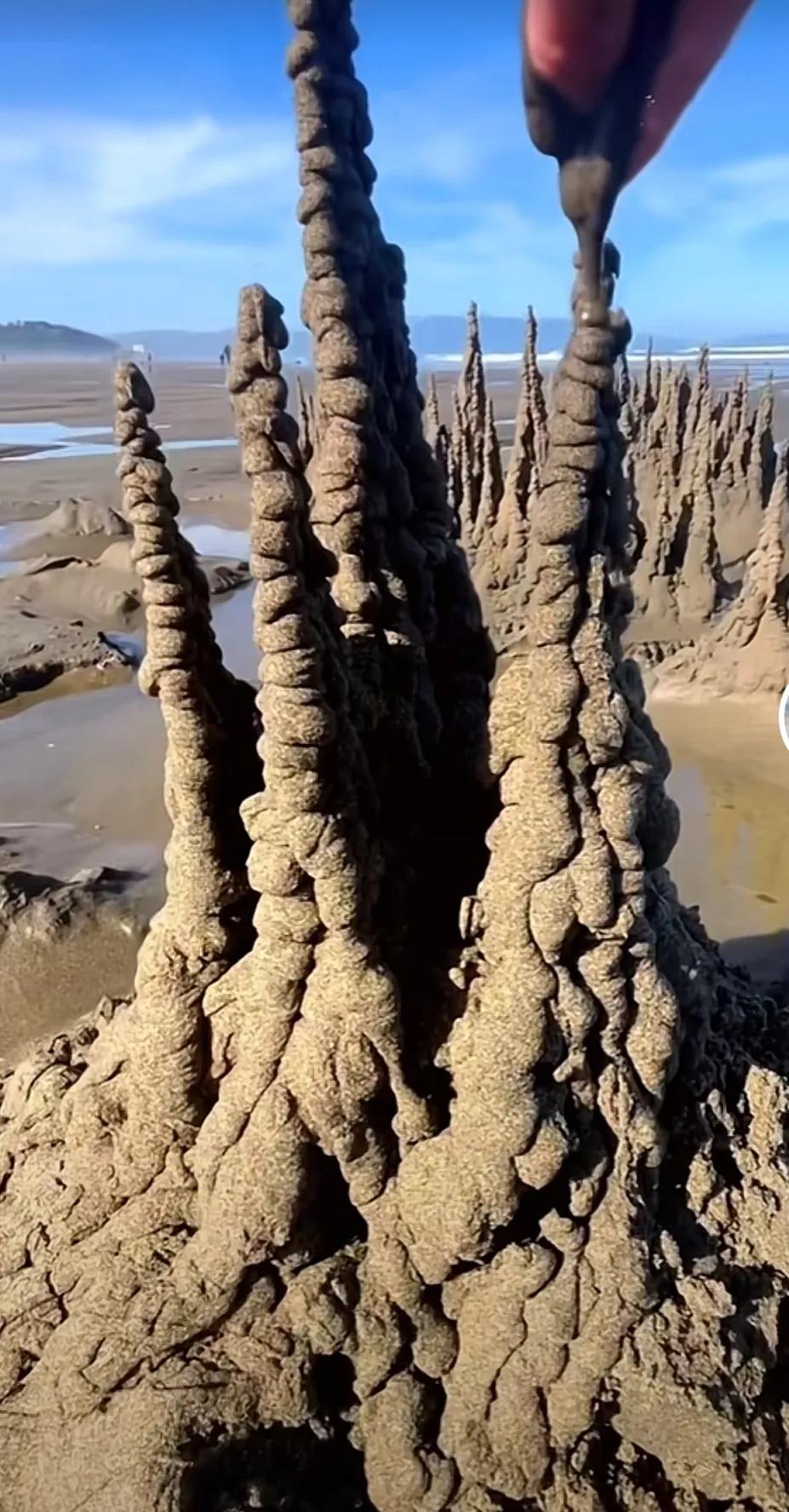 夏天到了购买什么样的蚊帐好,夏天来了你们用哪个蚊帐