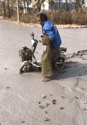 “性取向测试!”如果你看到的是一群人在游泳,那就再仔细看看