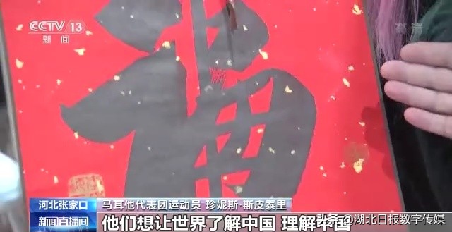 马耳他冬奥会选手入场视频,马耳他运动员冬奥会