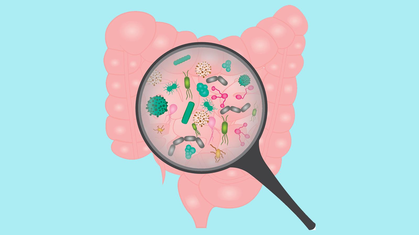 产业大事益生菌,产业大事2018