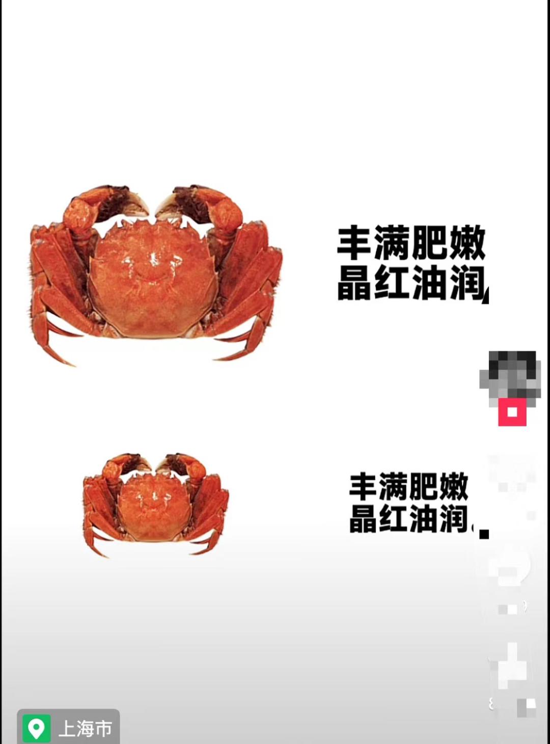 卖大闸蟹现场直播,螃蟹直播卖大闸蟹