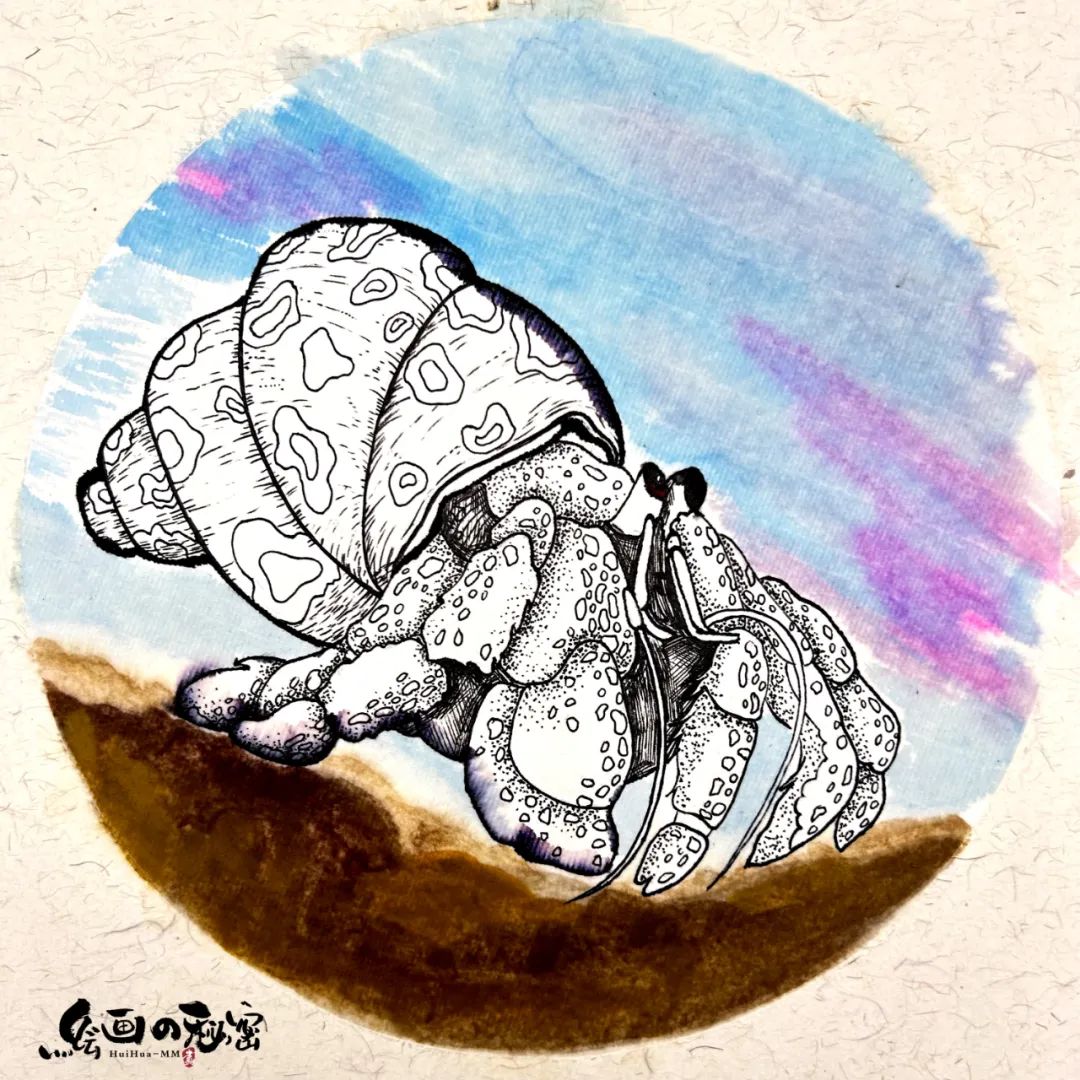 寄居蟹沙子要湿的还是干的,寄居蟹怎么养