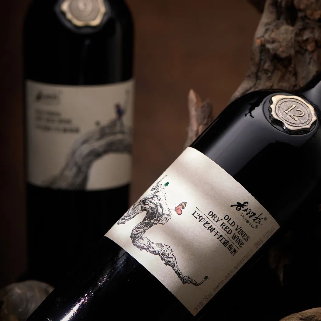 葡萄酒创意包装,红葡萄酒包装设计