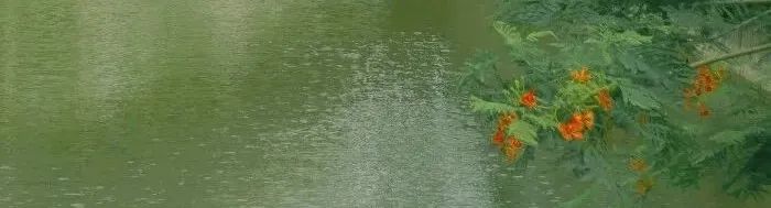 自媒体写作怎么赚到钱,写作自媒体平台