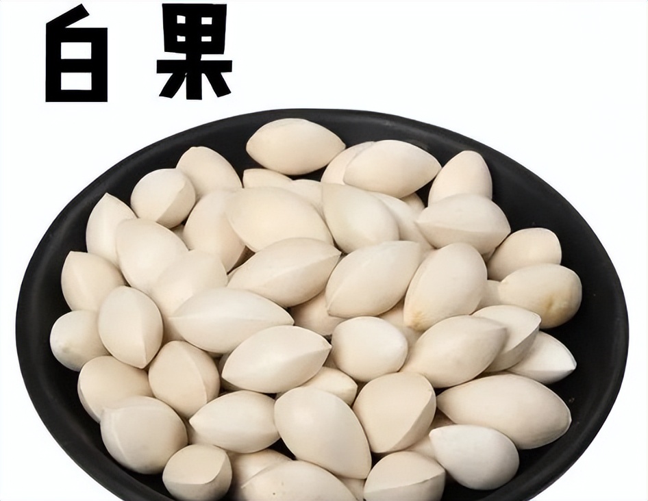 每日一味中药薏苡仁,每日一味中药白扁豆