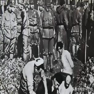 21张真实又罕见的老照片，阴毛假发工作者，我怀疑他用错地方了