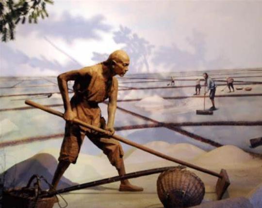 为什么古代的盐非常重要,古代盐那么贵为什么不烧海水