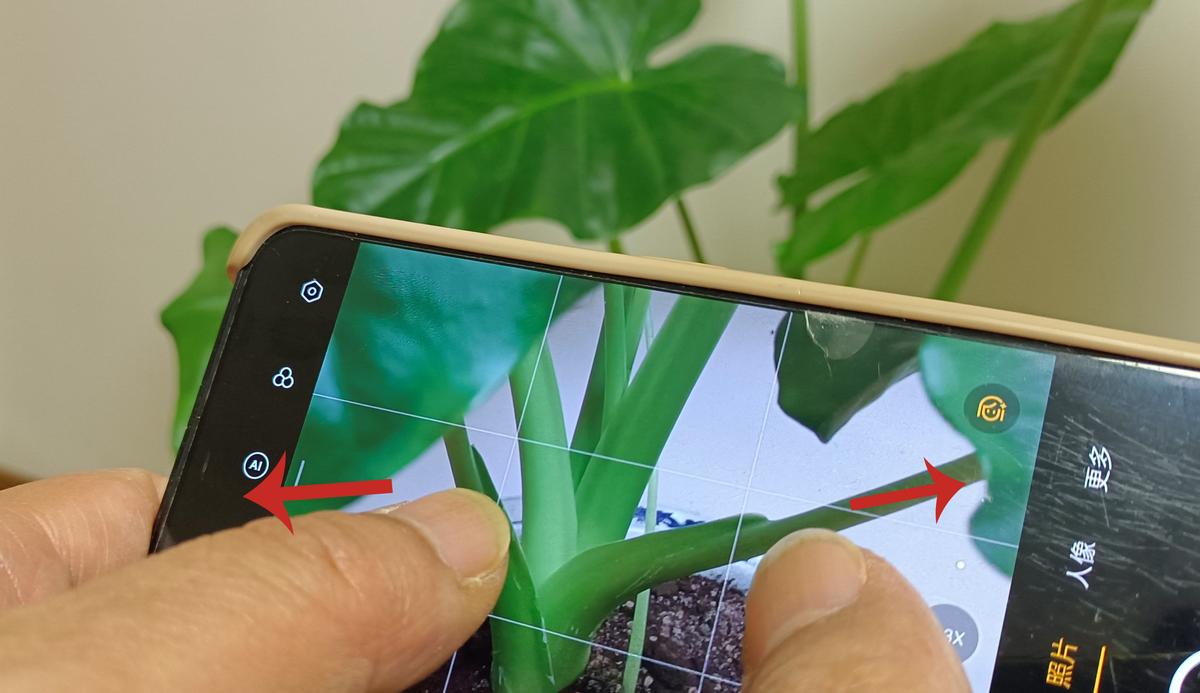 随手拍清晰横拍,手机拍照功能拍出好看的照片