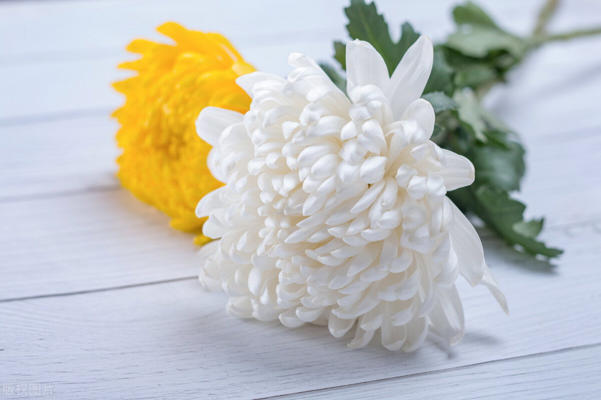 他去了“最高的那座山”——悼念挚友曾正贤作者：中铁20局/刘华