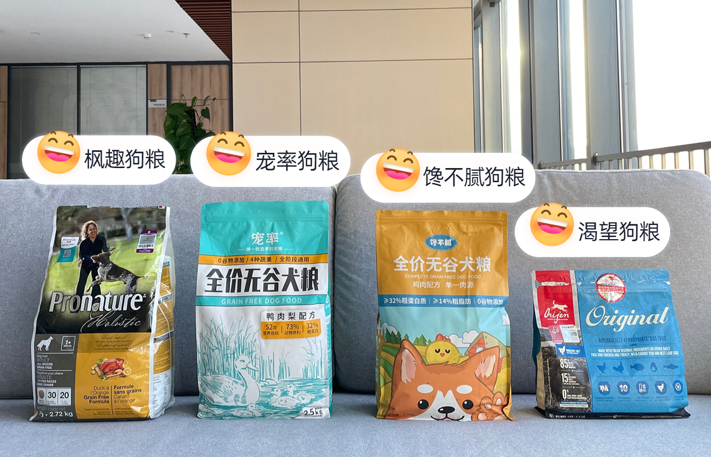 新手养狗哪种狗便宜,养狗狗是一时兴起还是深思熟虑