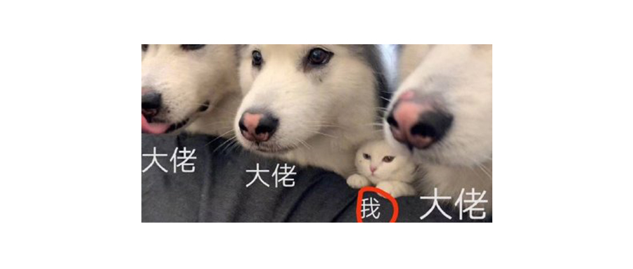 段永平卖出腾讯股票,段永平又买腾讯了吗