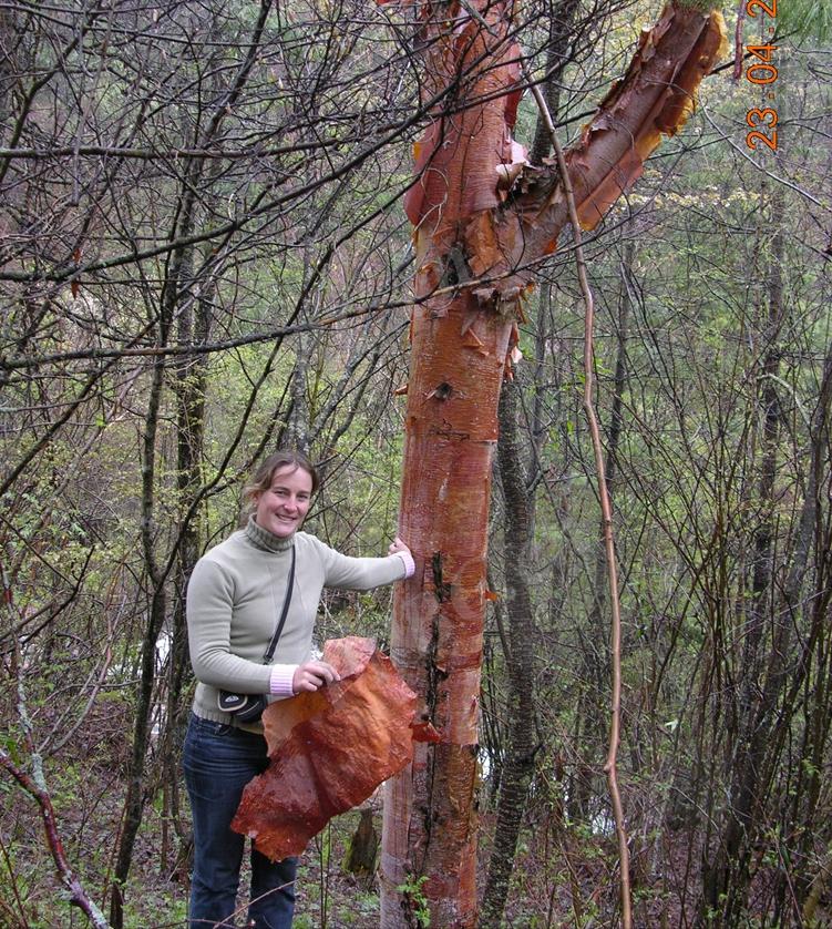 50亩山地种什么经济效益好,山东适合种的水果树种植