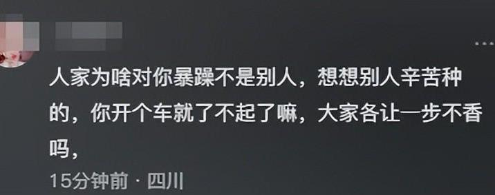 奔驰车堵路大妈疯狂砸车后续,大妈砸奔驰车事件