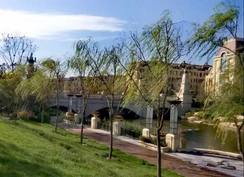 团泊洼的秋天的阅读感悟,团泊洼的秋天朗诵视频