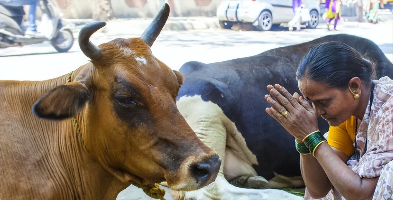 古印度文化和古北欧文化的交流,古印度文化被分化