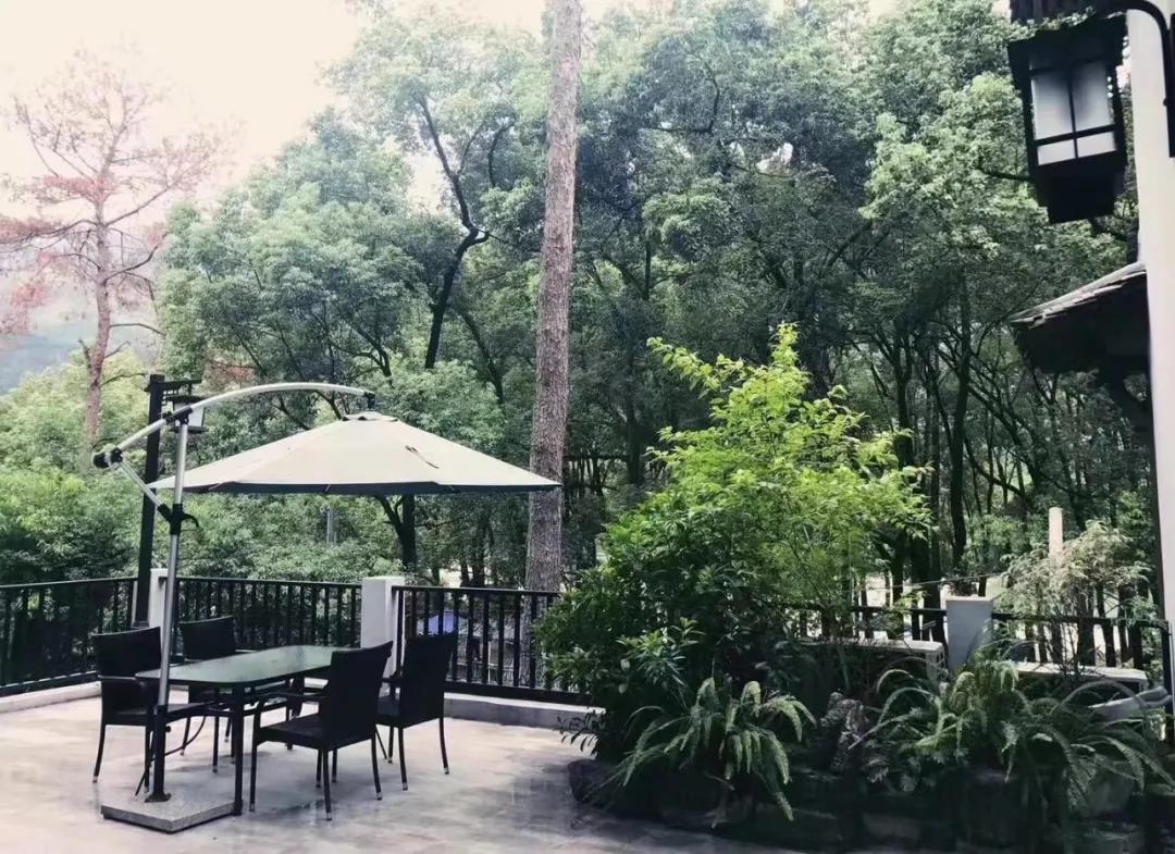 春节出游必看！温州这12条特色线路诚意满满，带你玩转虎年春节！