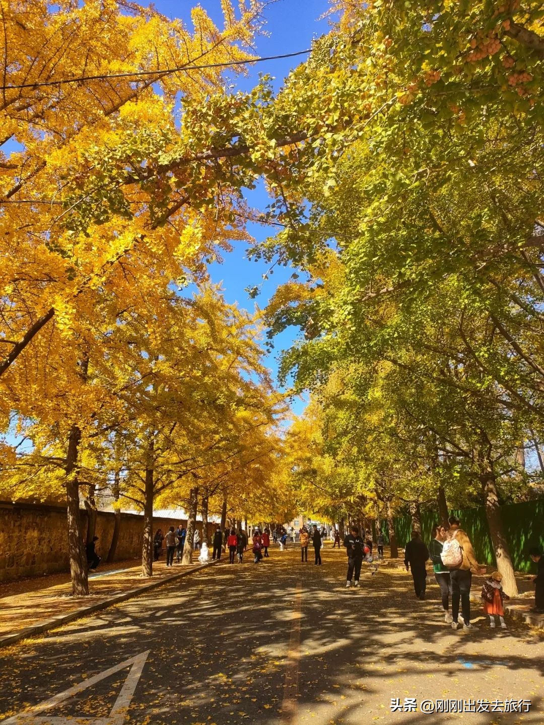 大连旅顺口景区旅游景点,抚顺旅顺太阳沟景区一日游