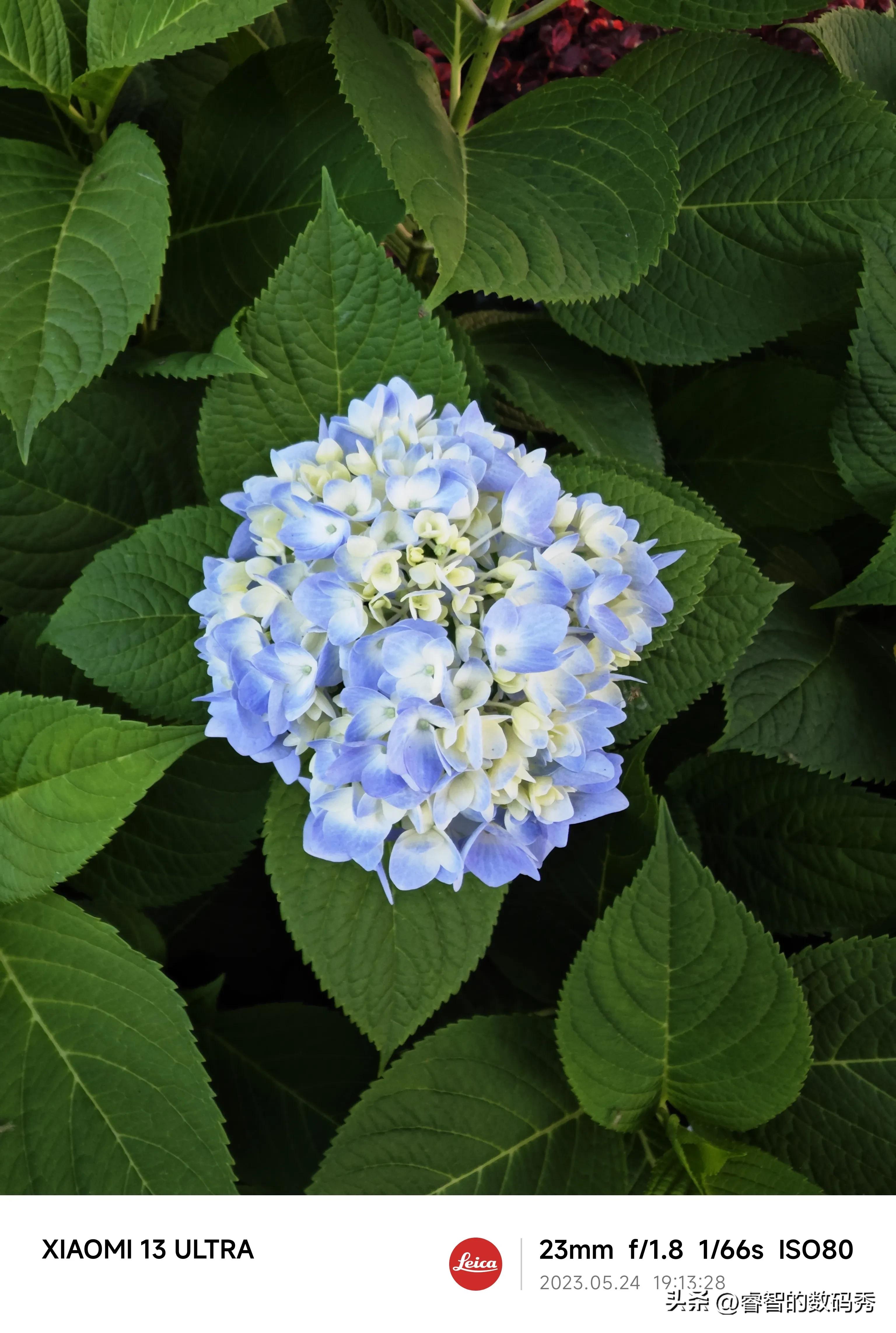 小米13ultra和莱卡相机,小米13ultra和徕卡相机对比