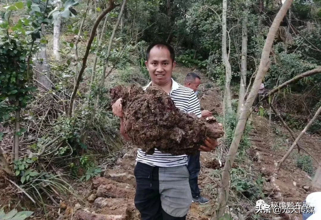 贵州90后回乡特色创业种植,黔东南州90后大学生返乡创业