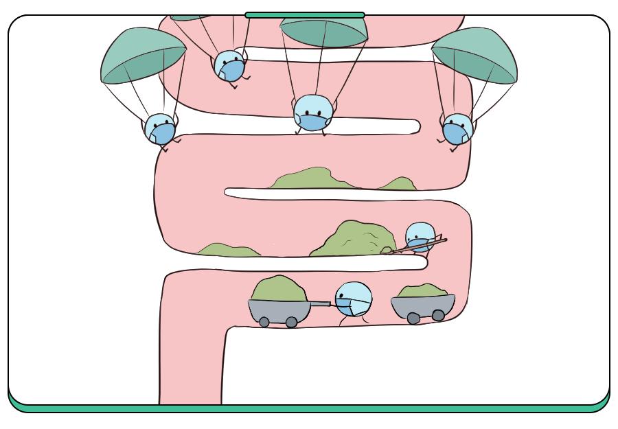 吃益生菌到底是饭前吃还是饭后吃,益生菌到底饭前吃还是饭后吃