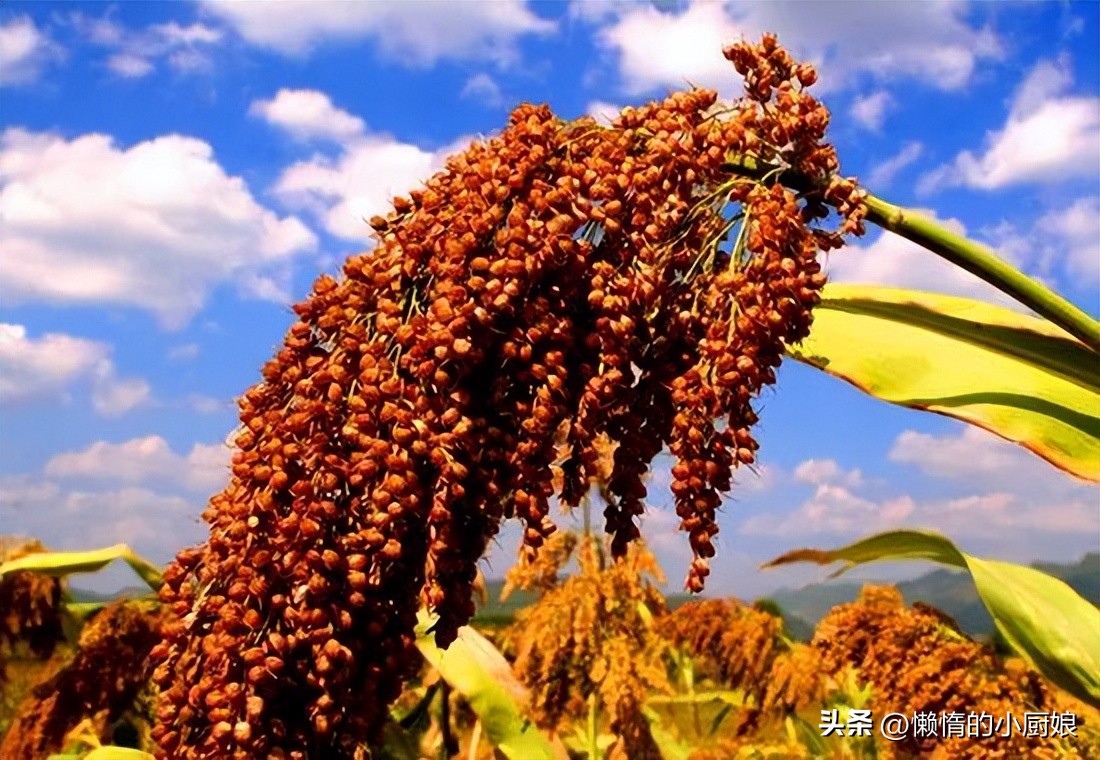 315曝光过的3类“假酒”清单，常喝酒的趁早看看，别再被蒙蔽