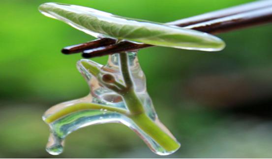 2021年五一恩施旅游,黄州到恩施五一旅游