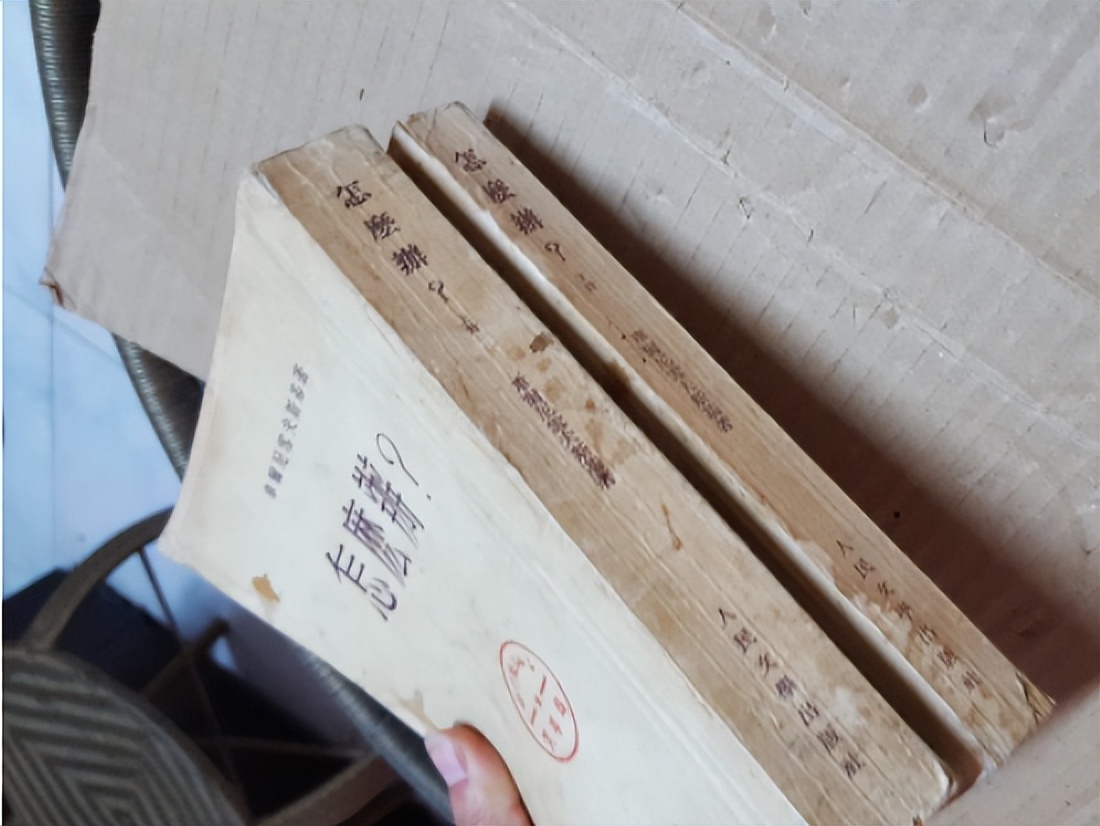 《人世间》采用罪案小说开端，受到车尔尼雪夫斯基《怎么办》影响