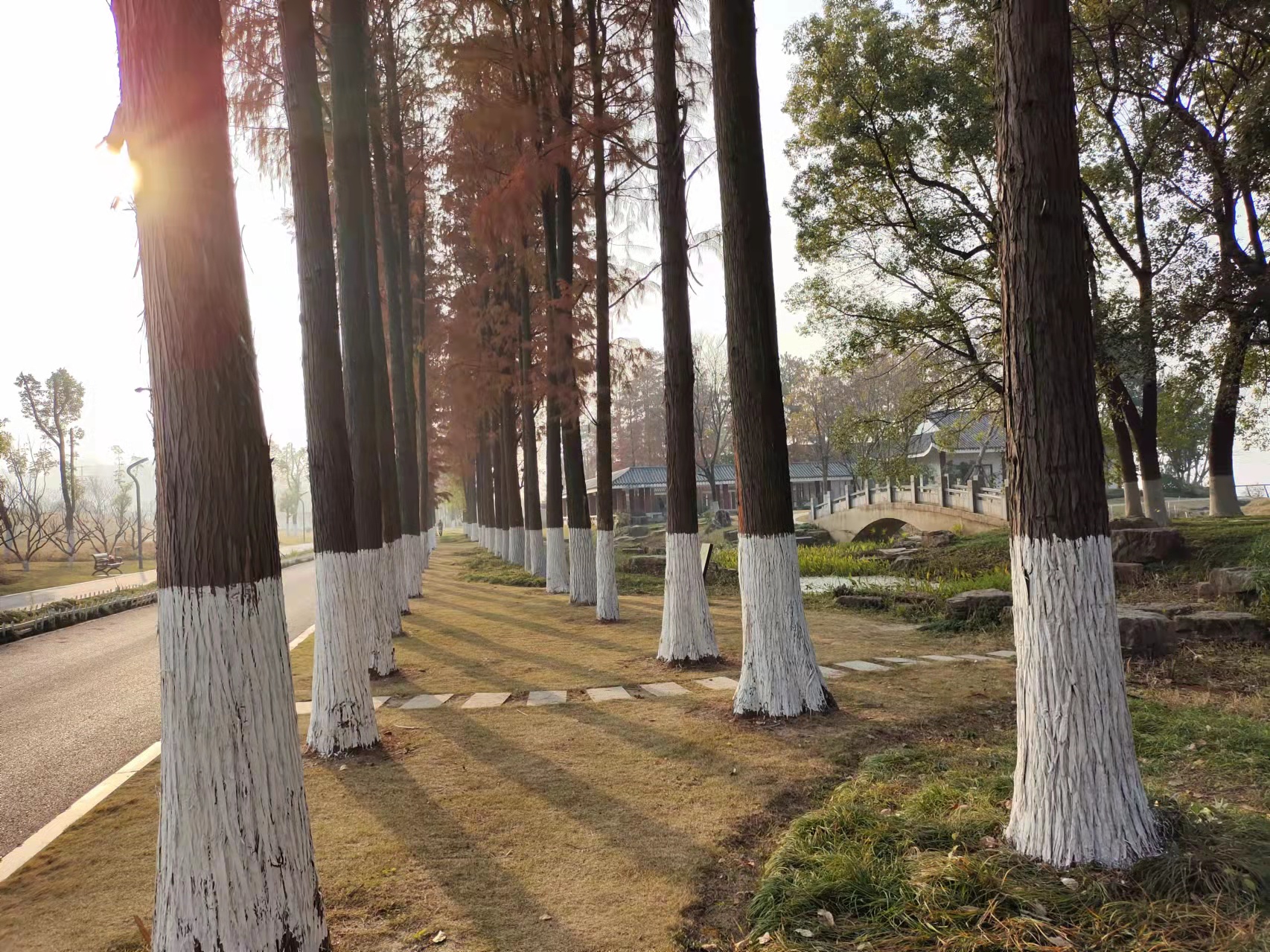 谈谈身边的小事情,大单元的实践与思考