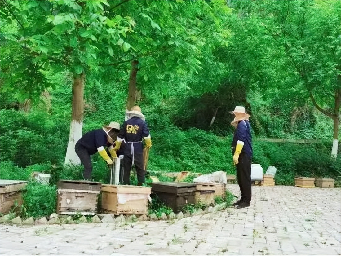 全力推进中央定点帮扶纪实,定点帮扶工作整体情况