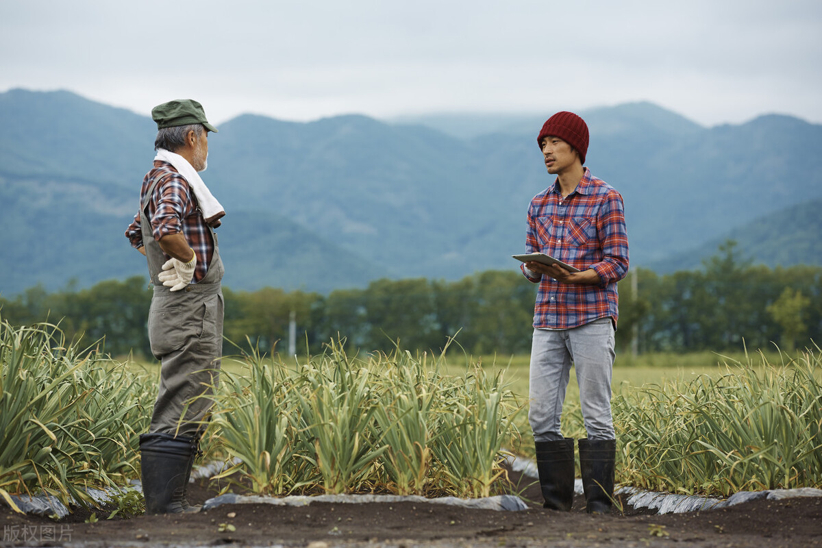 我在日本打工的那些日子,八十后的我在日本