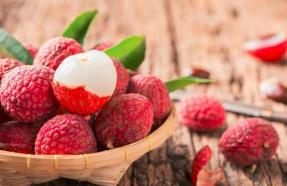 日啖荔枝三百颗不枉长作岭南人,日啖荔枝三百颗岭南是现在的哪里