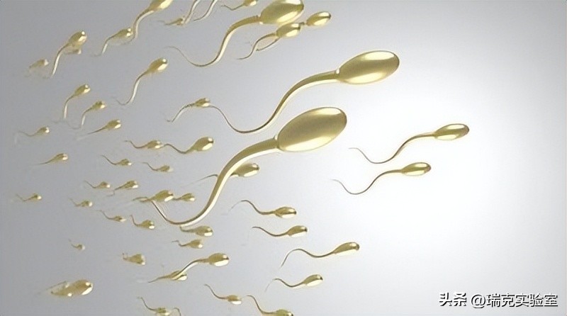 日本最强“配种王”一年捐精百次：日本为了“小蝌蚪”有多疯狂？