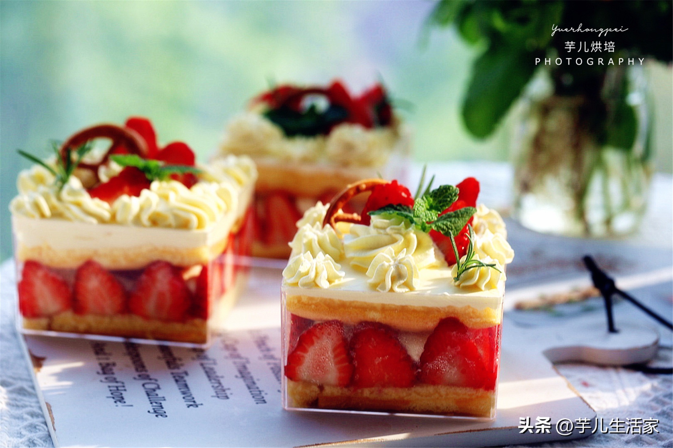 春游必备小甜品蛋糕,夏日野餐必备盒子蛋糕