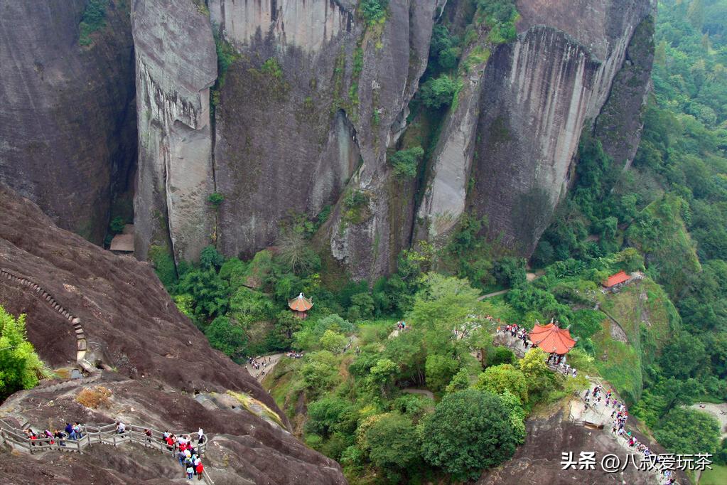 茶叶有哪些值得买的顶尖品牌,茶叶什么品牌性价比高又好