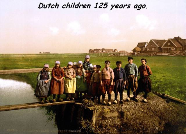 真实大象的照片,在野外拍到的真实大象