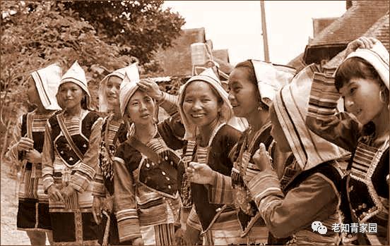 在西双版纳的知青生活,下乡插队的知青岁月