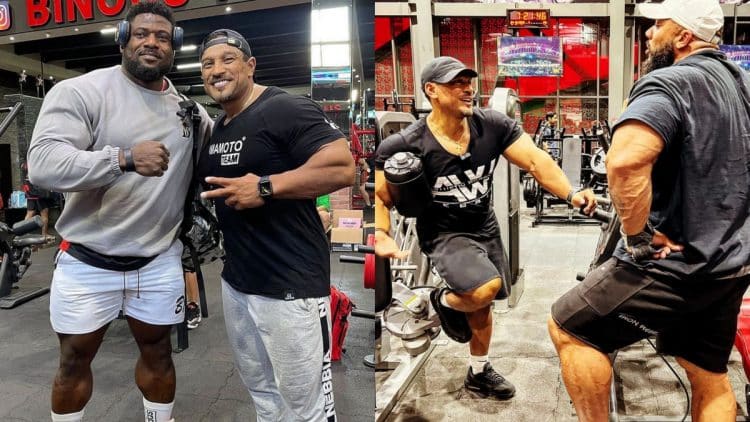 罗利温克拉三头训练,罗利温克拉比赛