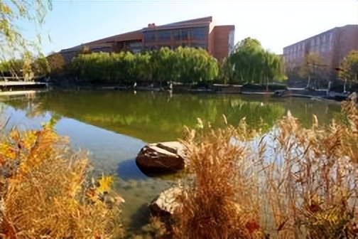 郑州大学创新创业申报与要求,郑州大学教改项目