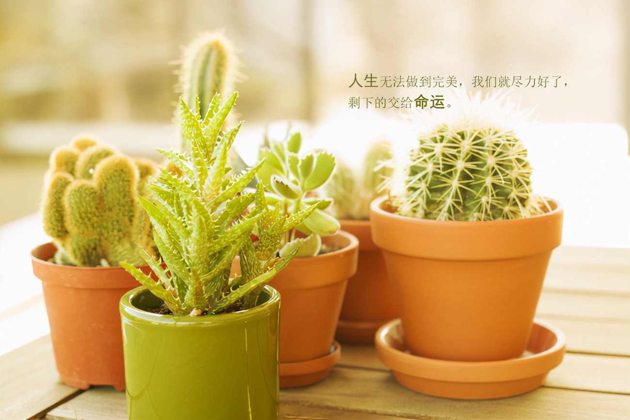 好学微客自媒体课程靠谱吗,好学微客教育退费