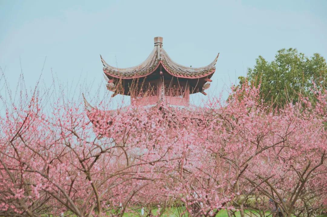 适合2月出行的12个旅行地，不负冬日的白雪和暖阳，准备好了吗？