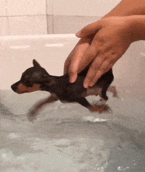 女孩子看起来外表美丽，其实裤袜已经掉到大腿根了！哈哈哈