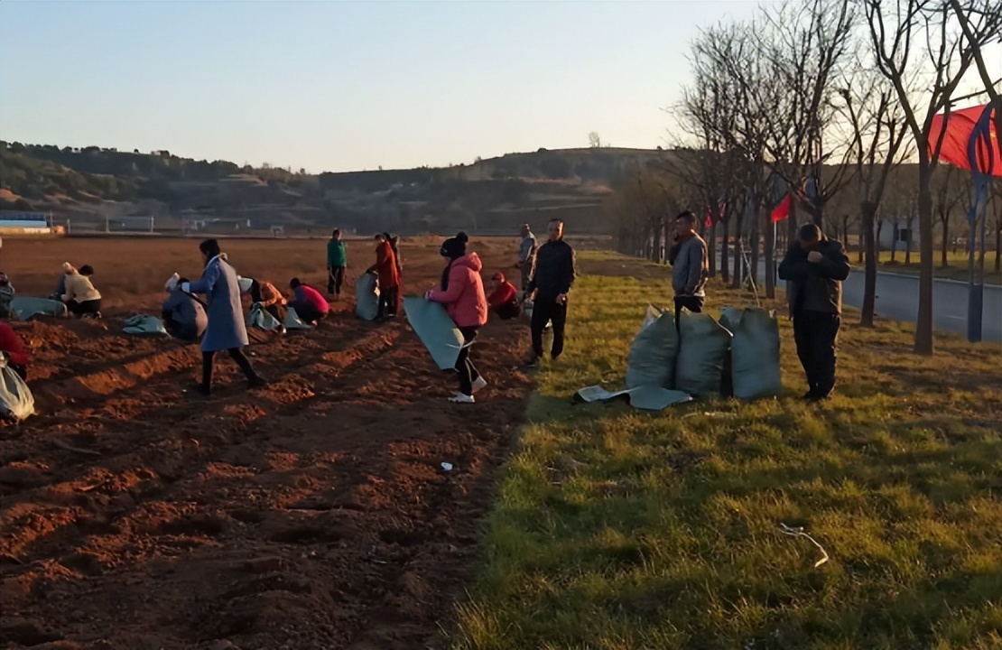 什么植物增收最好养活,农村山里有哪些值钱的植物