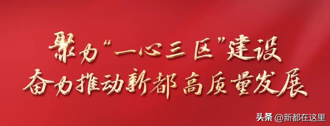 关于石板鸽你不知道的秘密,石板滩特色