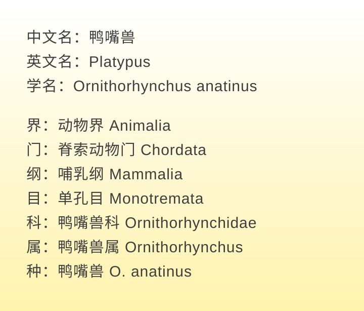 可达鸭有卖的吗,网上买的可达鸭真吗