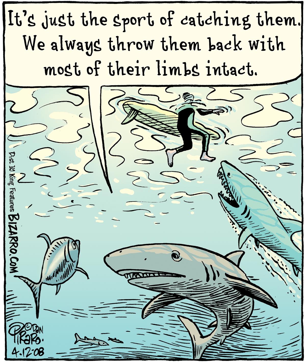 赶海发现有人被鲨鱼活活咬死,海上鲨鱼被咬死