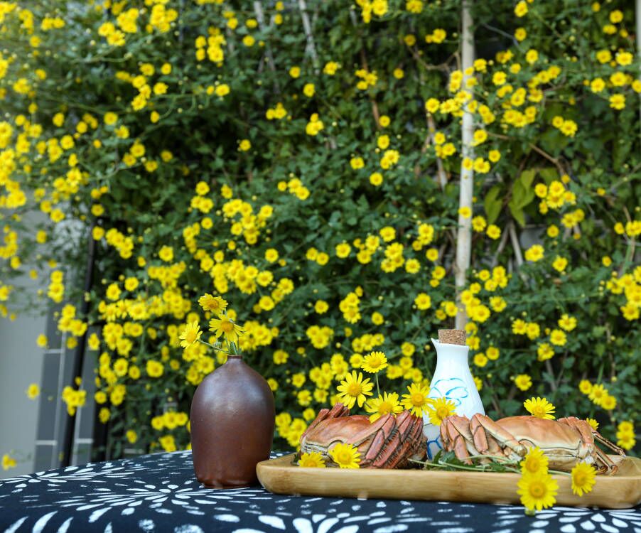 菊香蟹肥诗词,菊香蟹