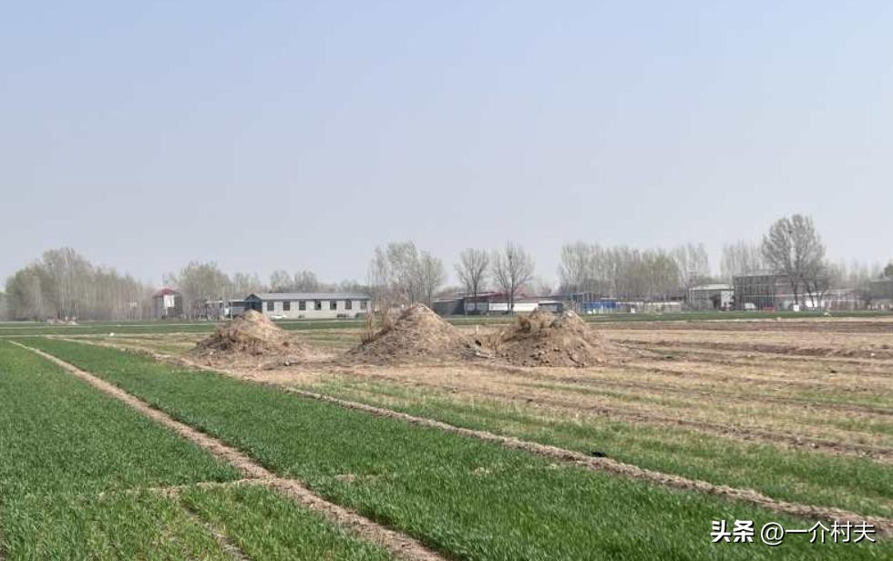 农村耕地埋坟合法吗,农村土地埋坟新政策