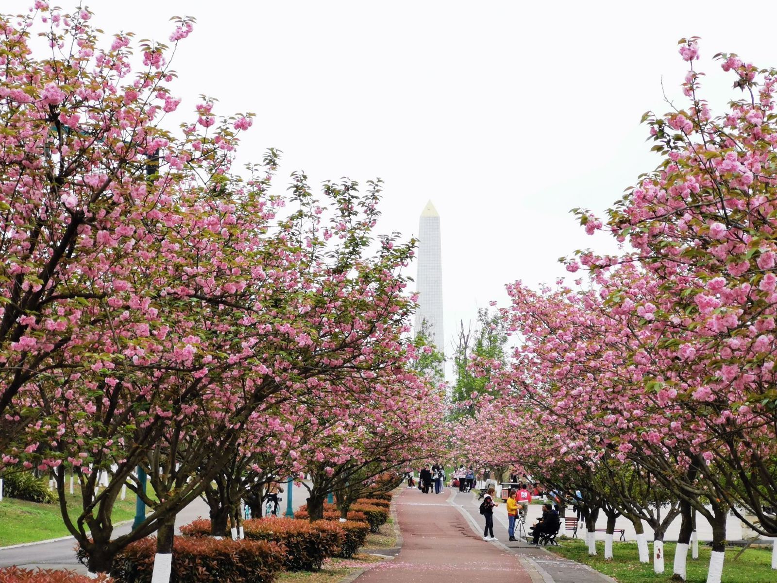 成都周边春季赏花景点推荐,成都赏花景点推荐一下